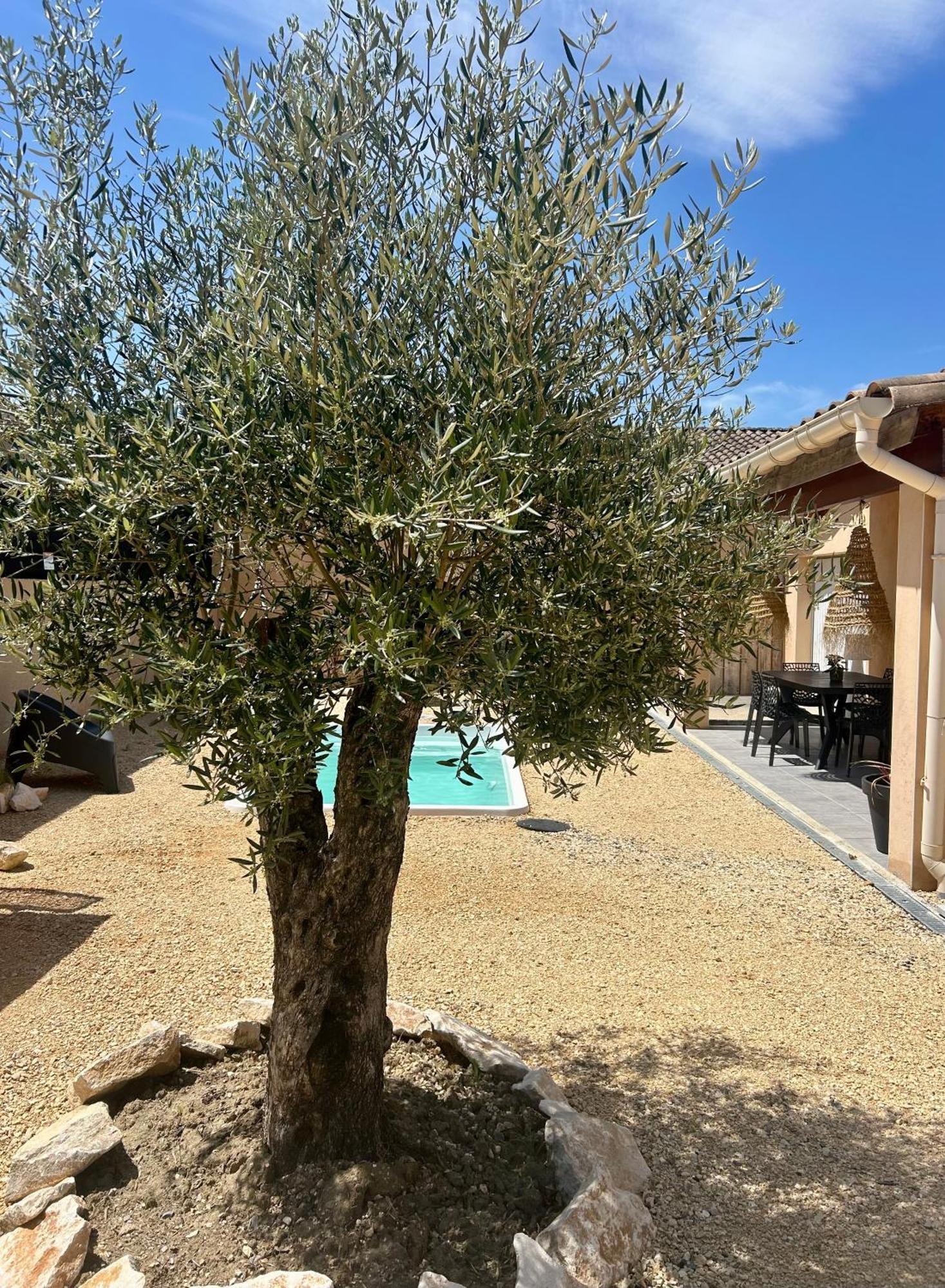 Maison Piscine & Spa Vallon Pont D'Arc Exterior foto